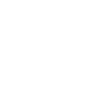 Insta icon