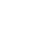 Twitter icon 